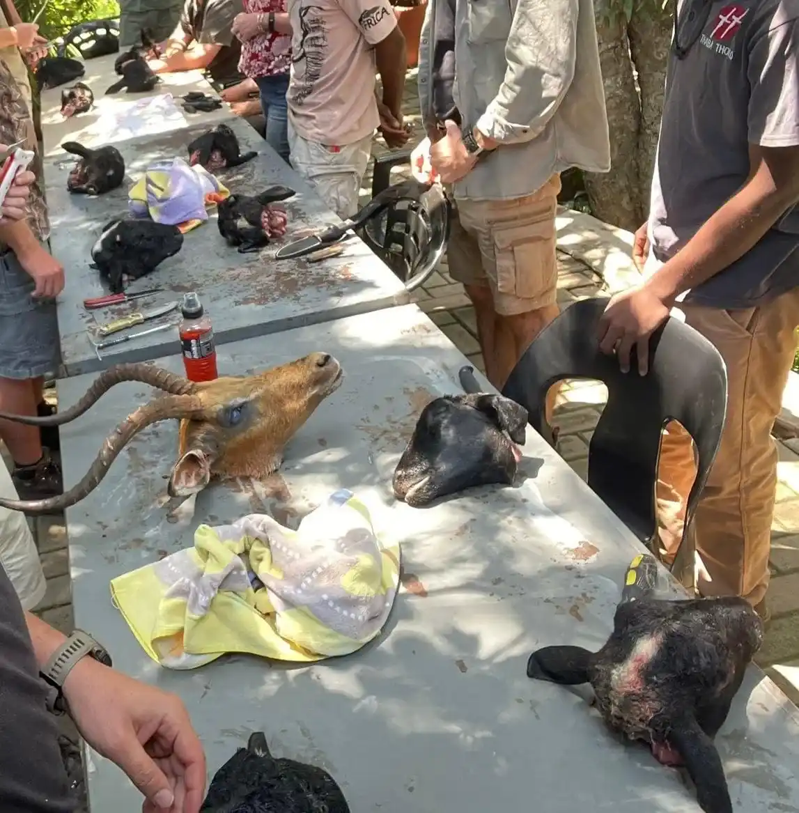 Curso de Cazador Profesional - Imagen 3